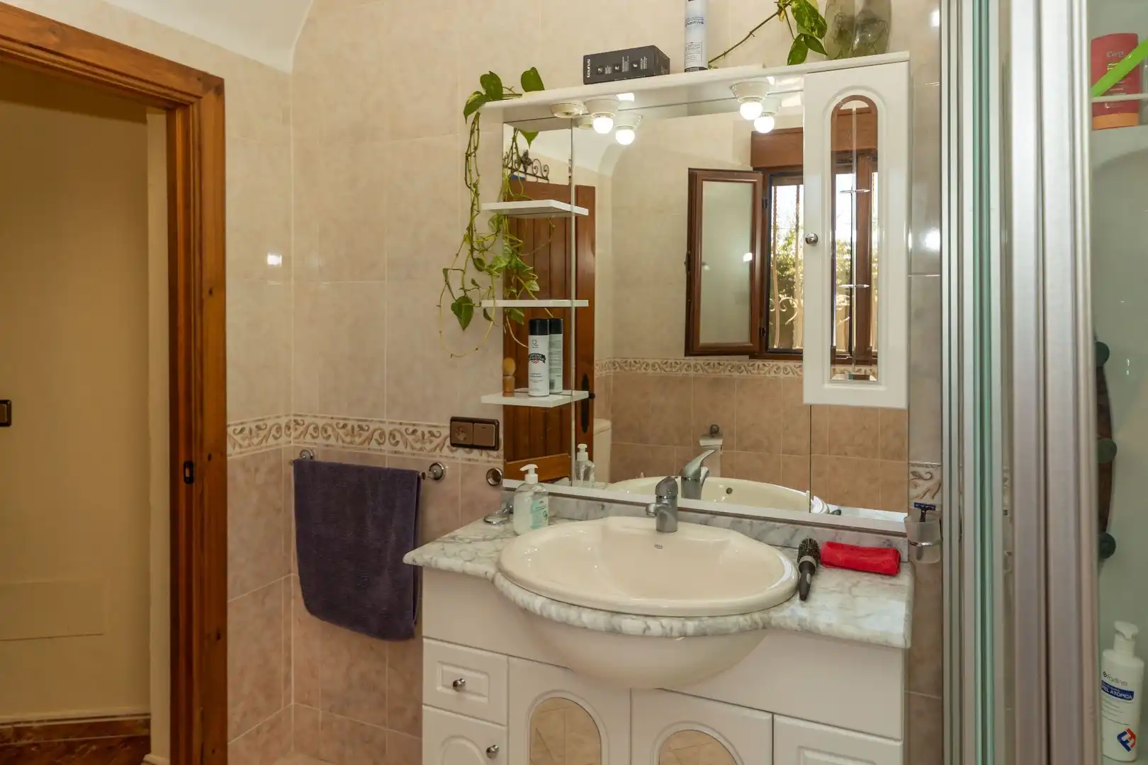 Bathroom of Country homes for sale in Guadix  with Terrace, Storage room and Furnished