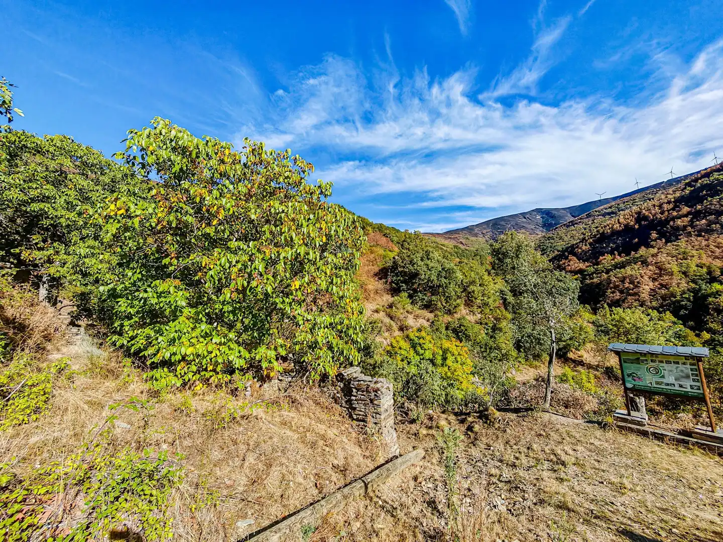 Finca rústica en venda en Ponferrada