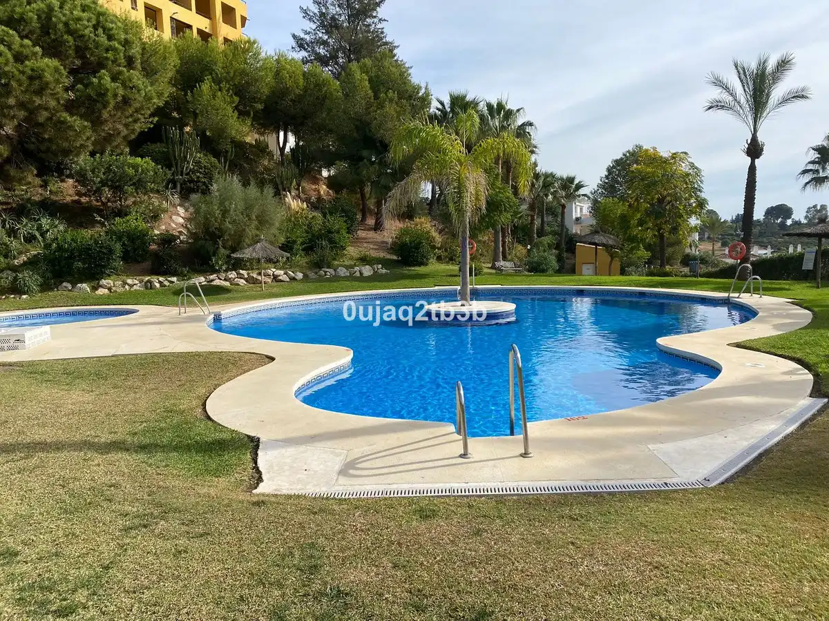 Piscina de Apartament en venda en Selwo