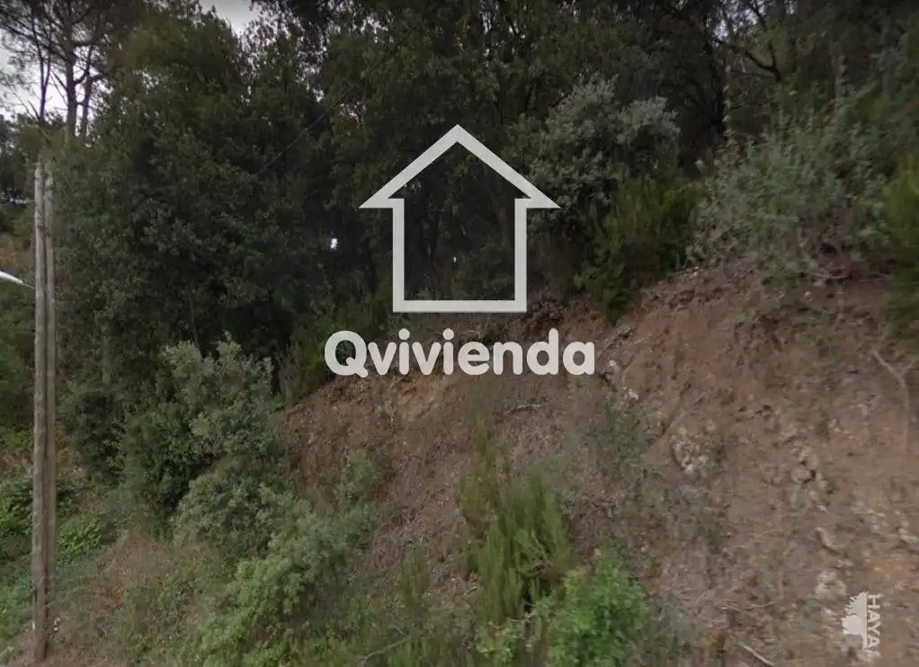 Terreny rústic en venda a COVA DEL DRAC, imagen 5
