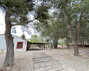 Vista exterior de Casa o xalet en venda en  Murcia Capital amb Calefacció, Jardí privat i Terrassa