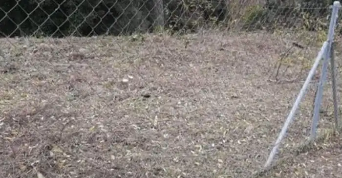 Terrenys i solars en venda a Can Massuet del Far, imagen 6