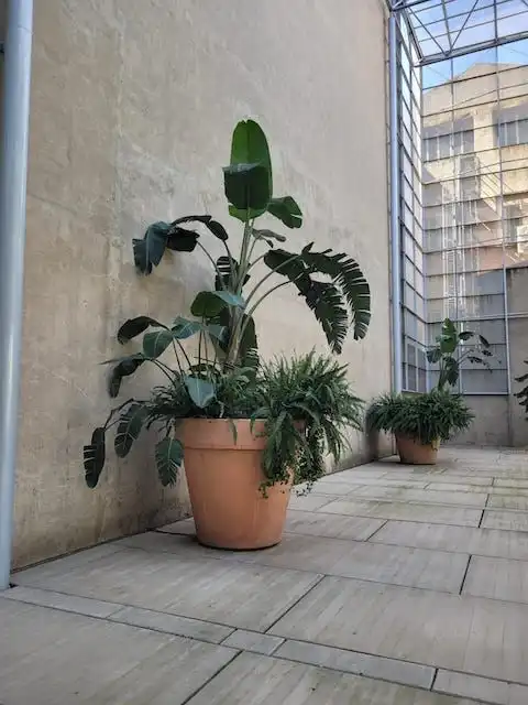 Außenansicht von Büro zur Miete in Barcelona mit Klimaanlage, Heizung und Terrasse
