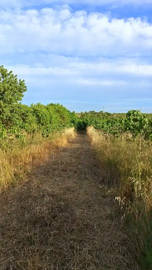 Finca rústica en venda en Llardecans