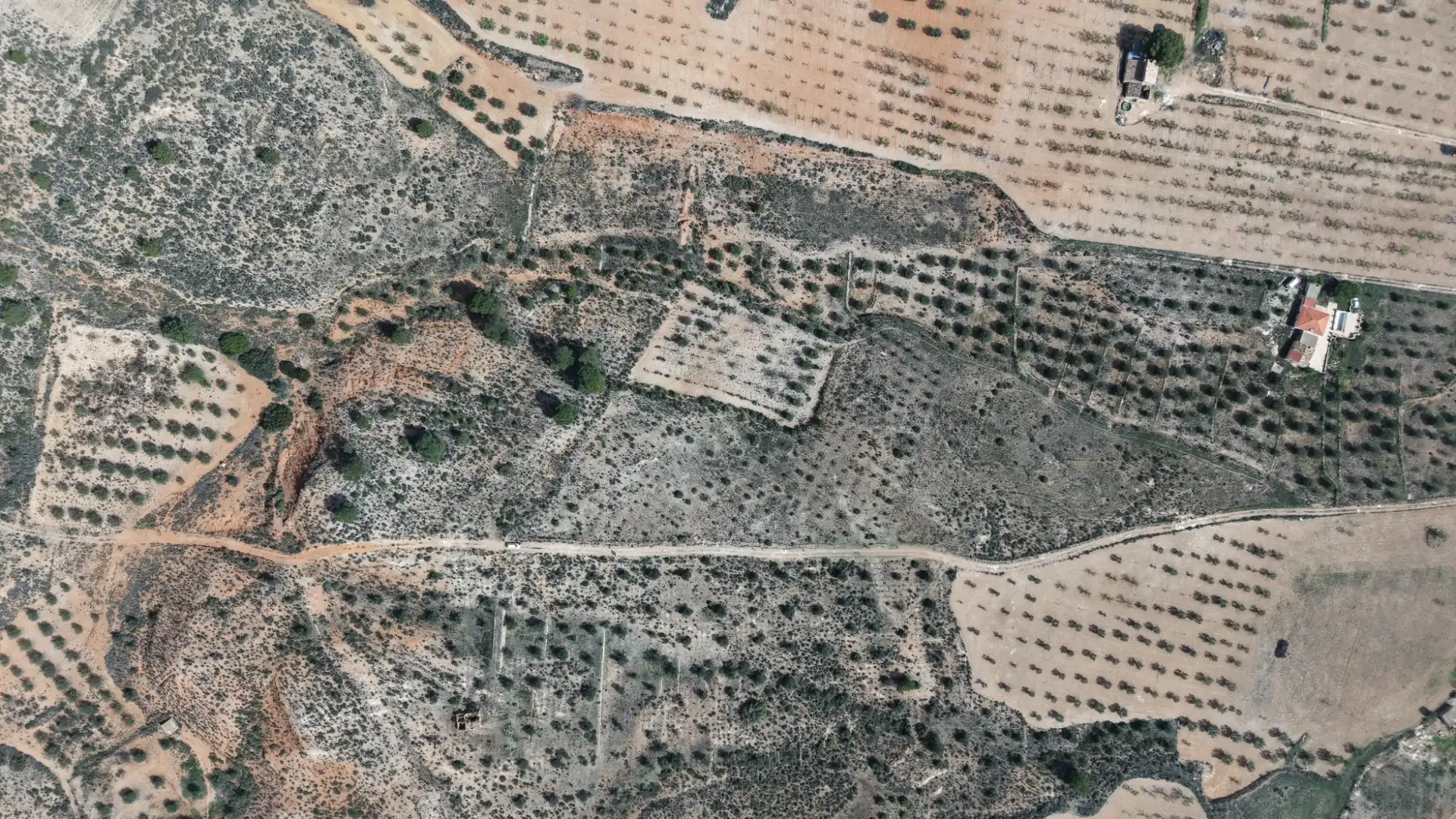 Residential land for sale in Yecla, imagen 11