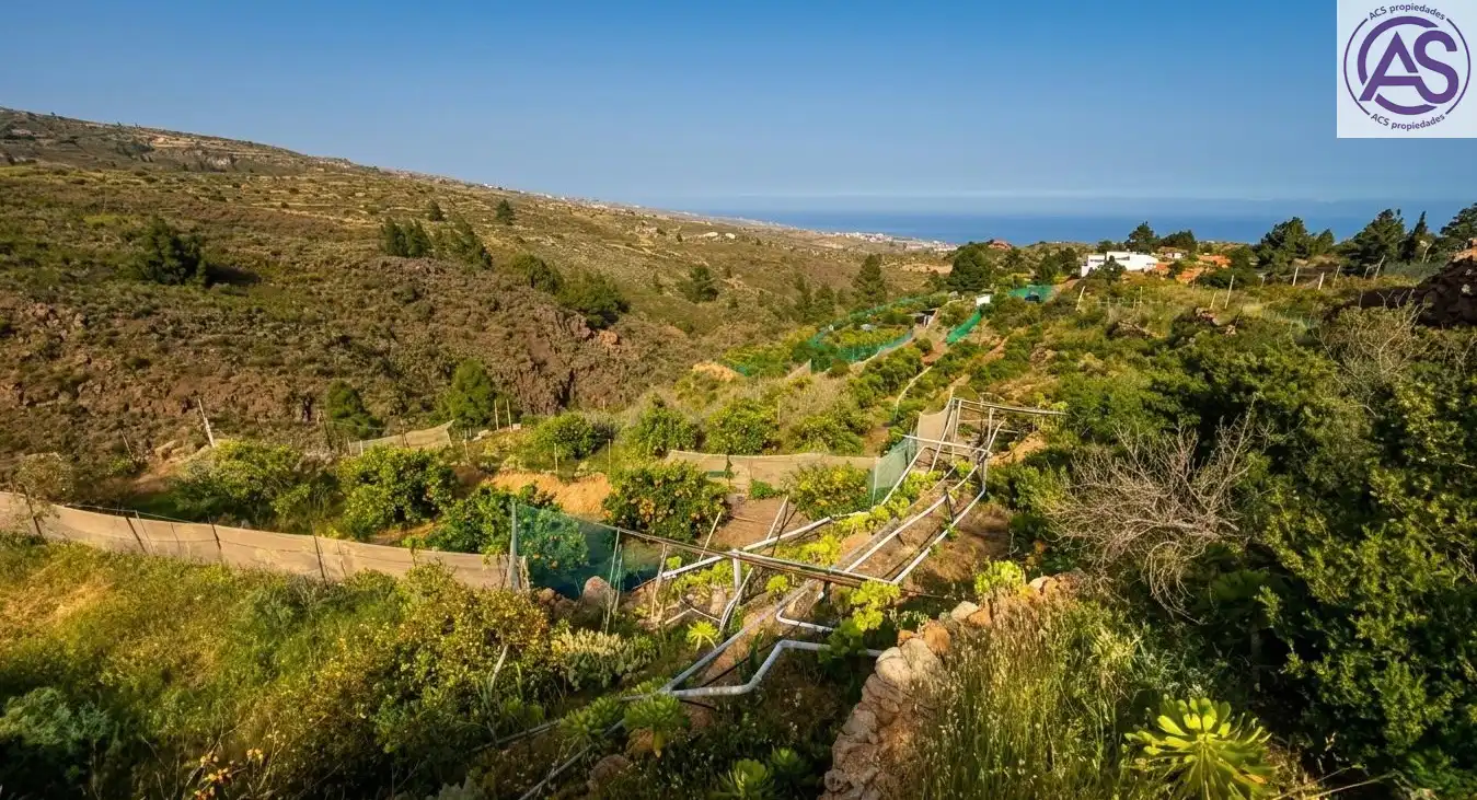 Jardín de Finca rústica en venta en Fasnia