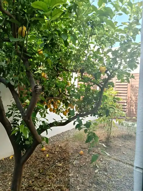 Casa o chalet en venta en Avenida de la Paz, 9, Rágol