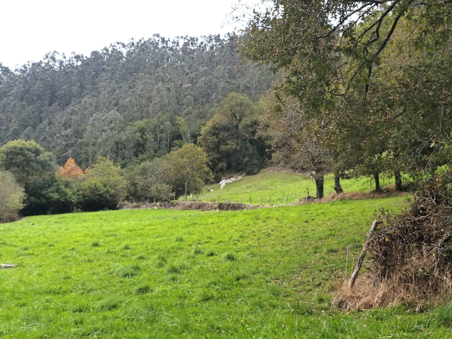 Exterior view of Residential for sale in Valdáliga