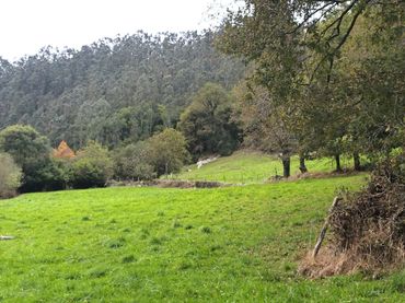 Terreno rustico in vendita a Cuevas Las - Las Cuevas