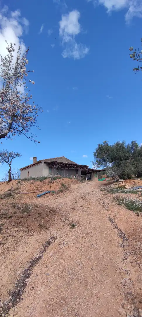 Rural land for sale in Carrer de la Muntanya 3, imagen 2