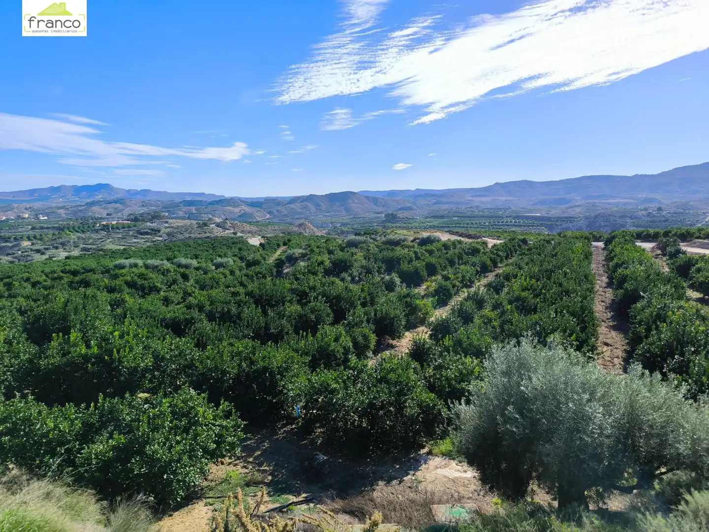 Terreno rustico in vendita a Campo de Murcia
