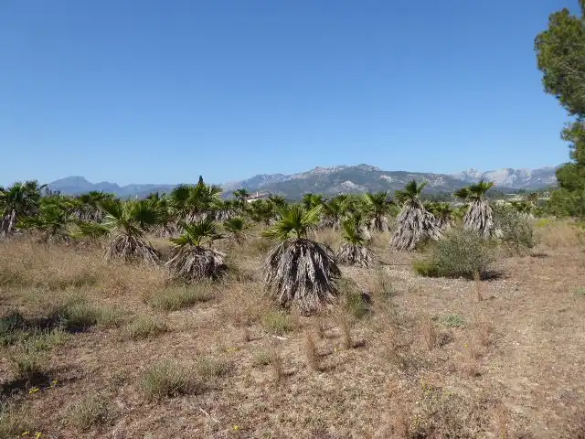 Finca rústica en venta en Xerta