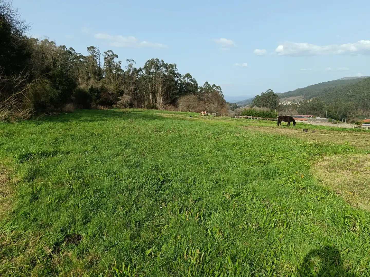 Country homes for sale in Meis