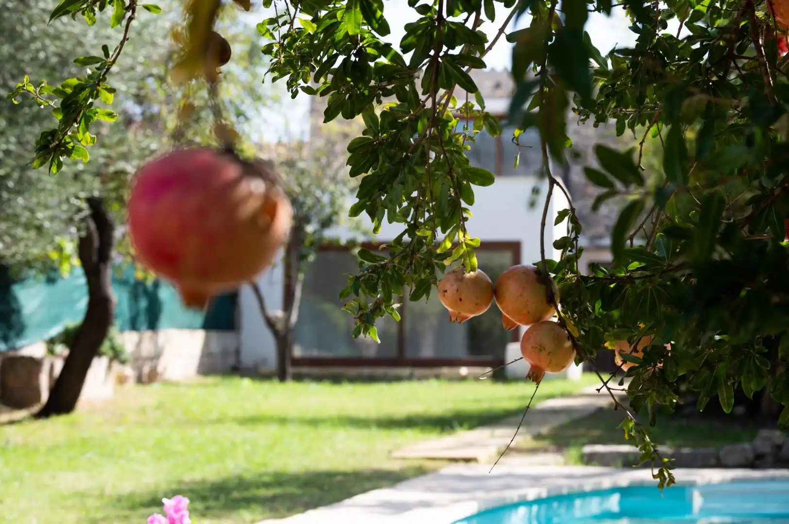 Casa amb piscina en venda a Campanet, imagen 30
