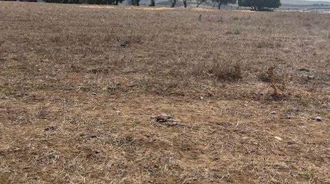 Finca Rúst. en venta en Manzanete., imatge 5
