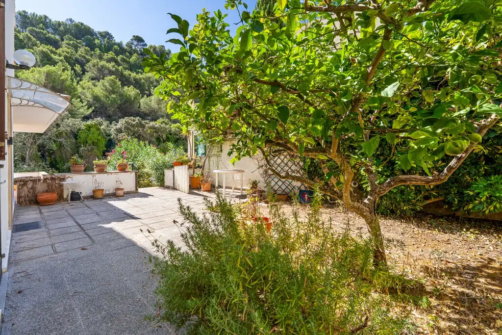 Jardín de Casa o chalet en venta en Pollença Poble