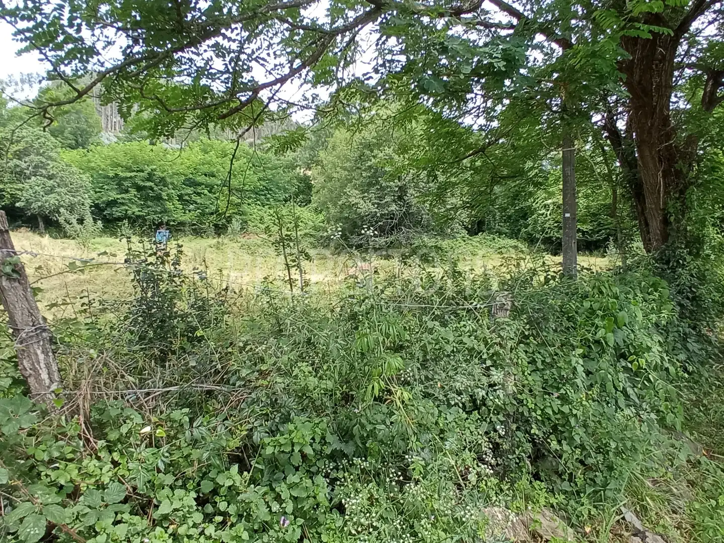 Lands and plots for sale in Samano, imagen 4