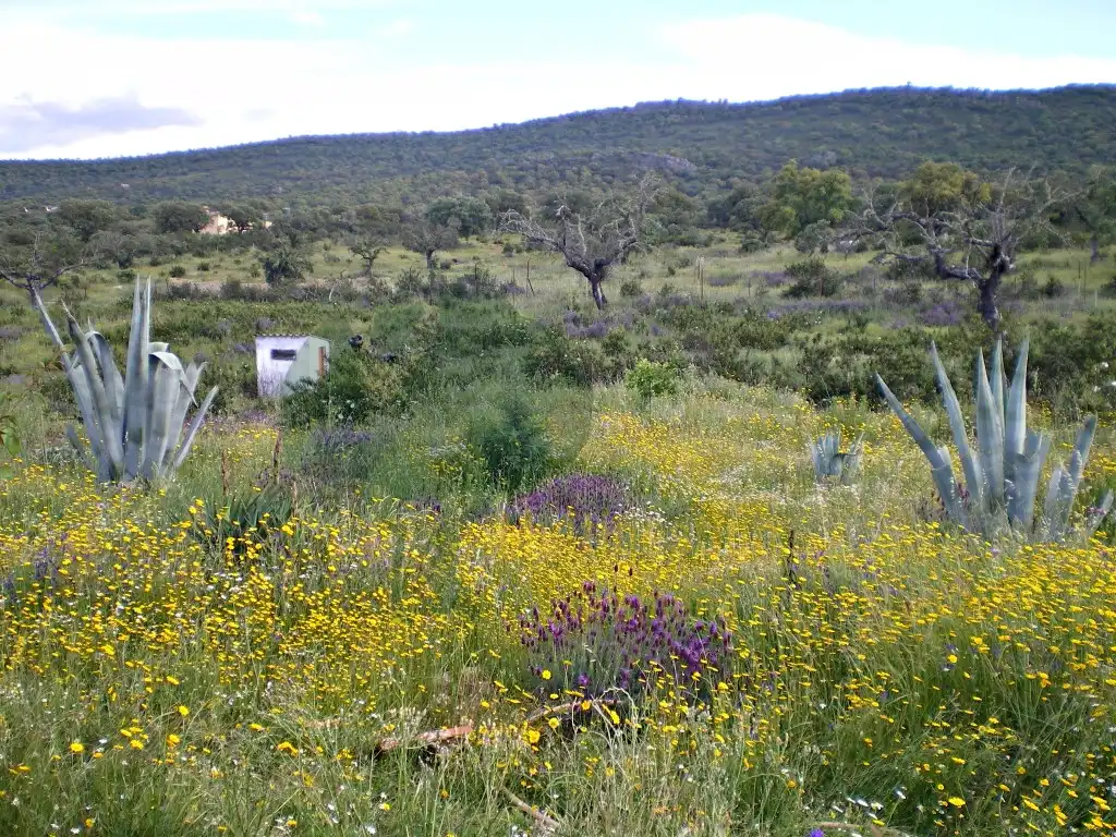 Casa rústica en venda a Malpartida de Cáceres, imagen 5