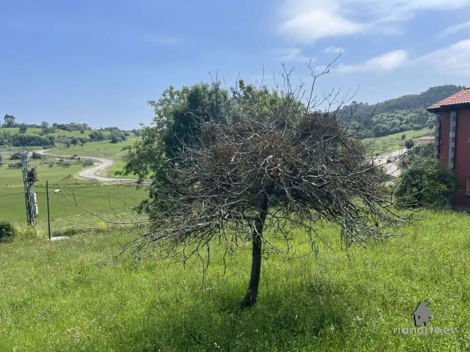 Residential land for sale in Aldea Bones 30B, imagen 9