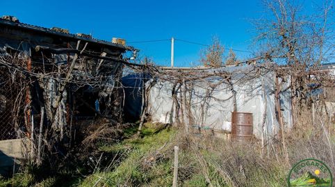 Se vende finca rustica con caseta en Bembibre, image 3