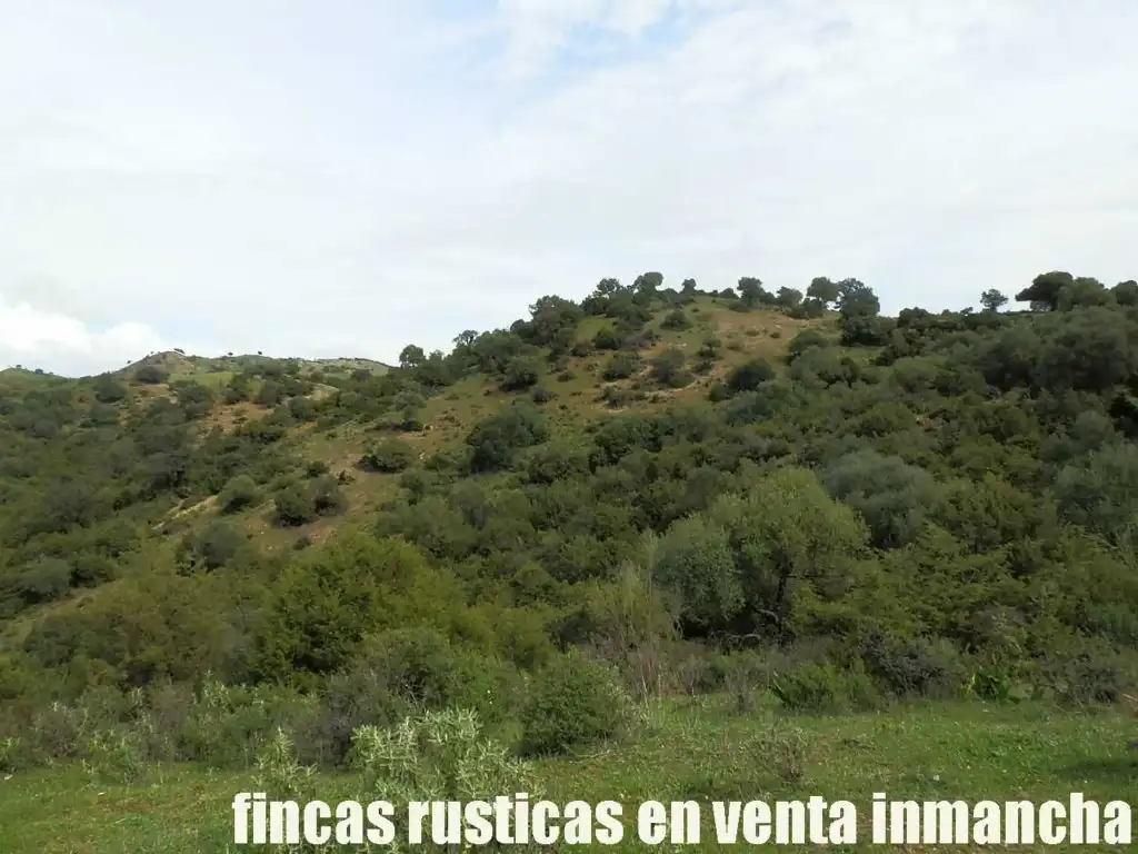 Terreno rustico in vendita a Algodonales, imagen 11