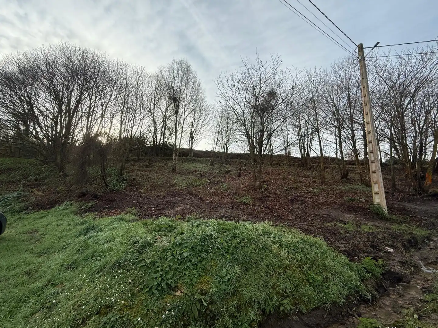 Lands and plots for sale in Pillarno - Aldea Pipe, imagen 6