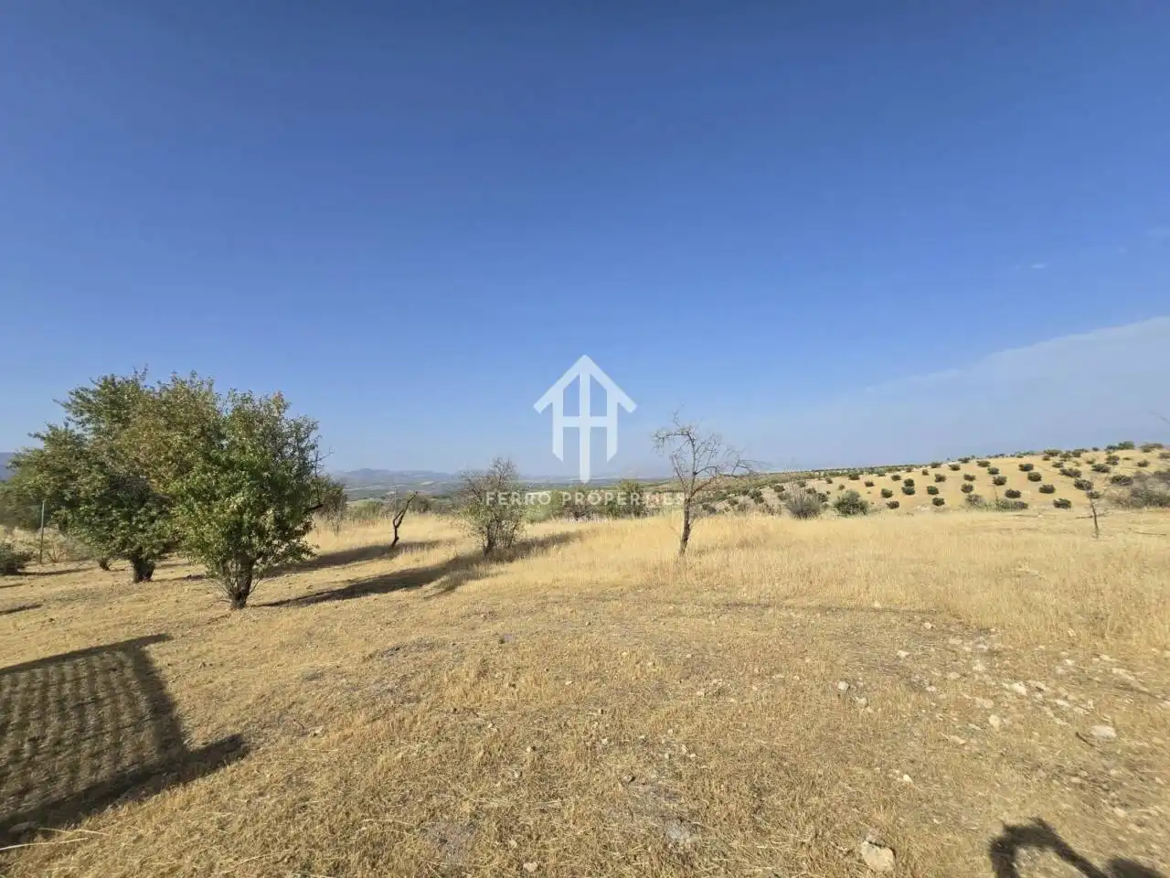 Terreny residencial en venda a Poligono Riegos de Moraleda, Poligono 10, imagen 4