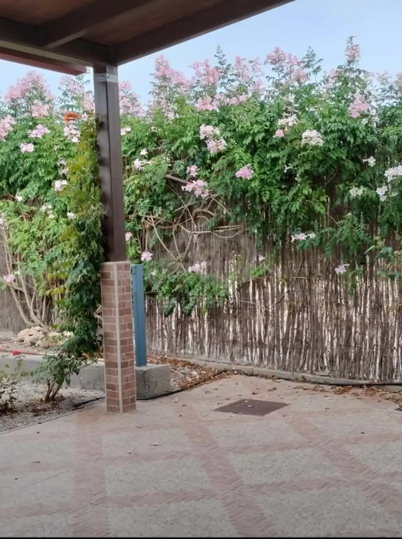 Vista exterior de Casa o chalet en venta en Lorca con Terraza