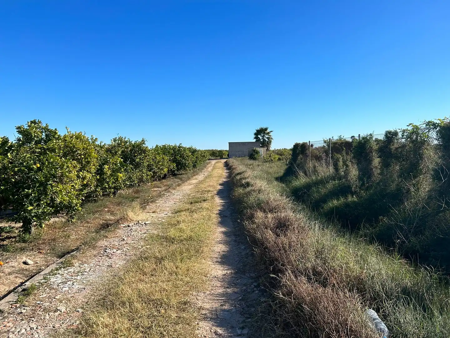 Rural land for sale in Sueca ciudad, imagen 10