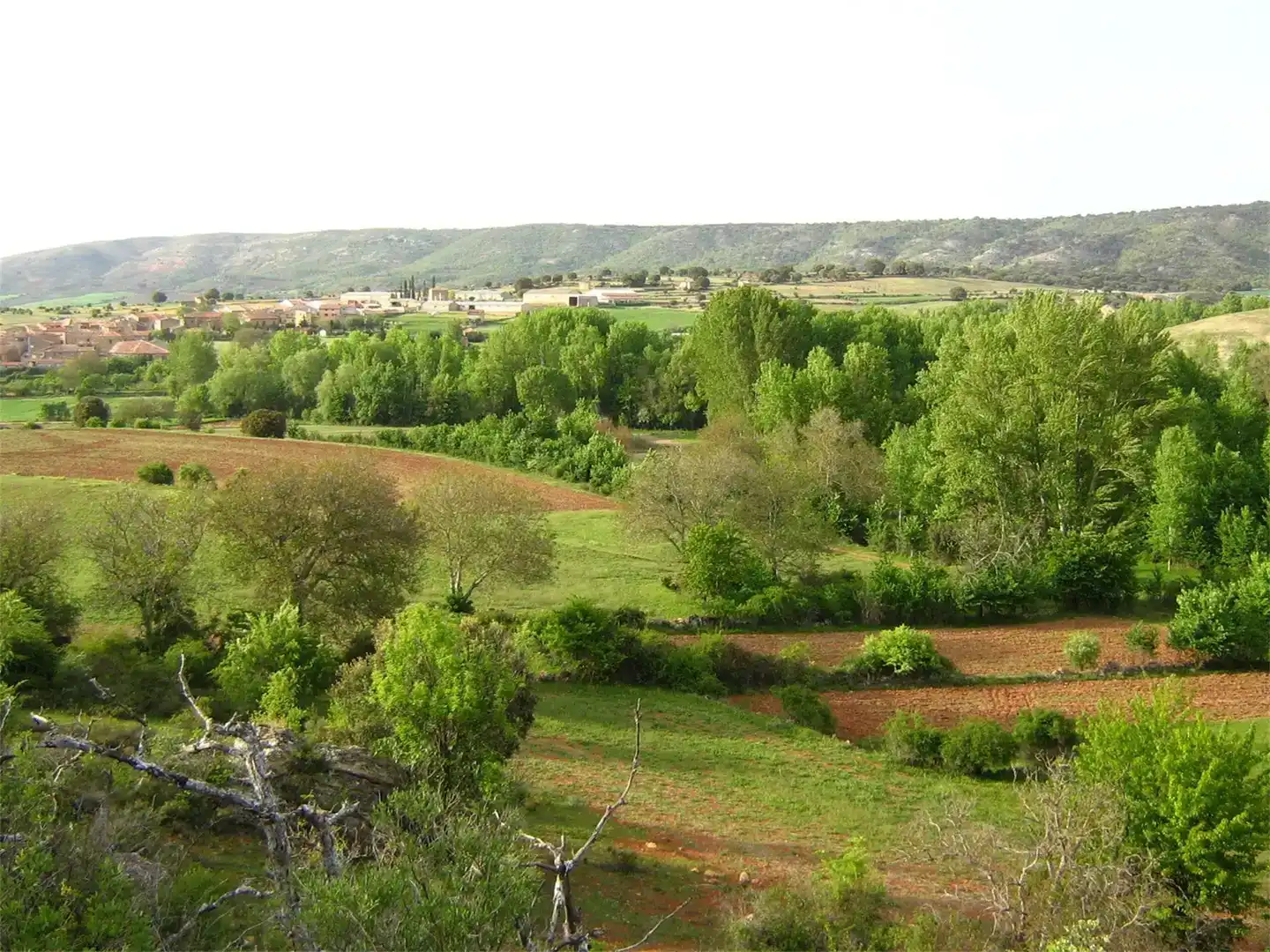 Finca rústica en venda en Sienes amb Balcó
