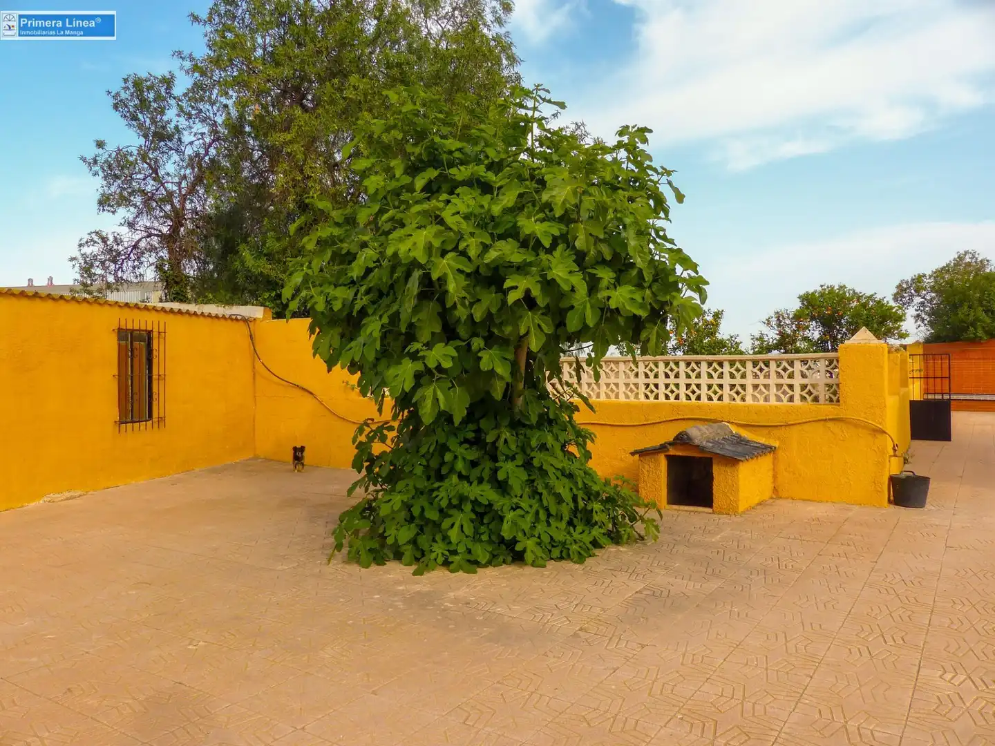 Jardí de Finca rústica en venda en Fuente Álamo de Murcia amb Calefacció, Jardí privat i Terrassa