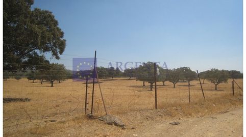FINCA GANADERA DE UNAS 550 HECTÁREAS EN LA ZONA DE ALISEDA
