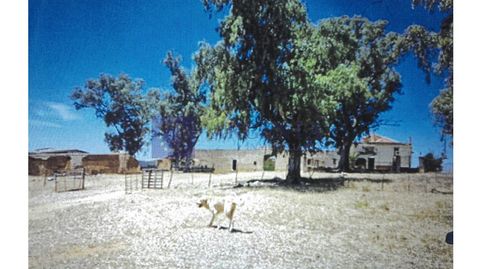 Foto 2 de Casa o chalet en venta en Guareña, Badajoz