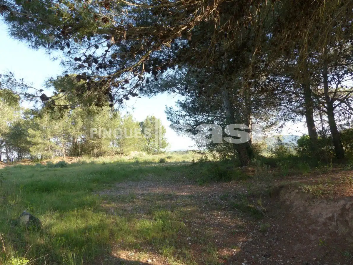 Residential land for sale in Sesoliveres - Pla de la Massa, imagen 7
