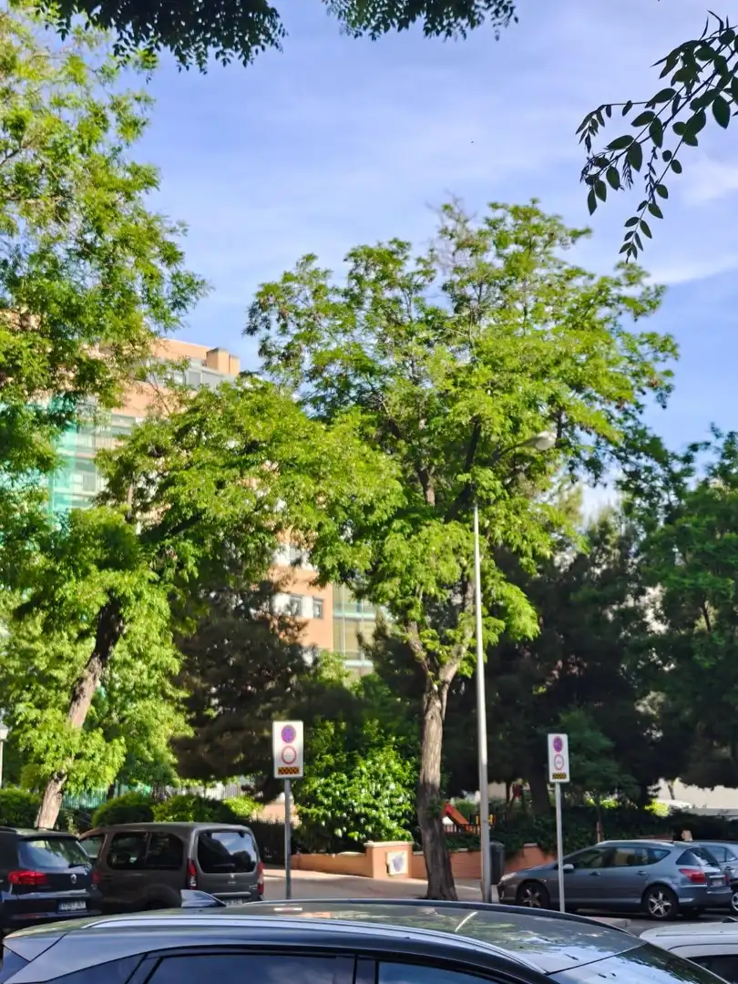 Vista exterior de Apartament en venda en Madrid