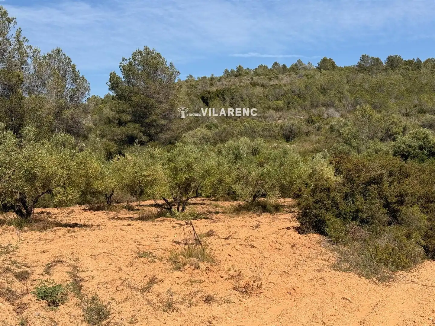 Rural land for sale in Massos de Vespella, imagen 29