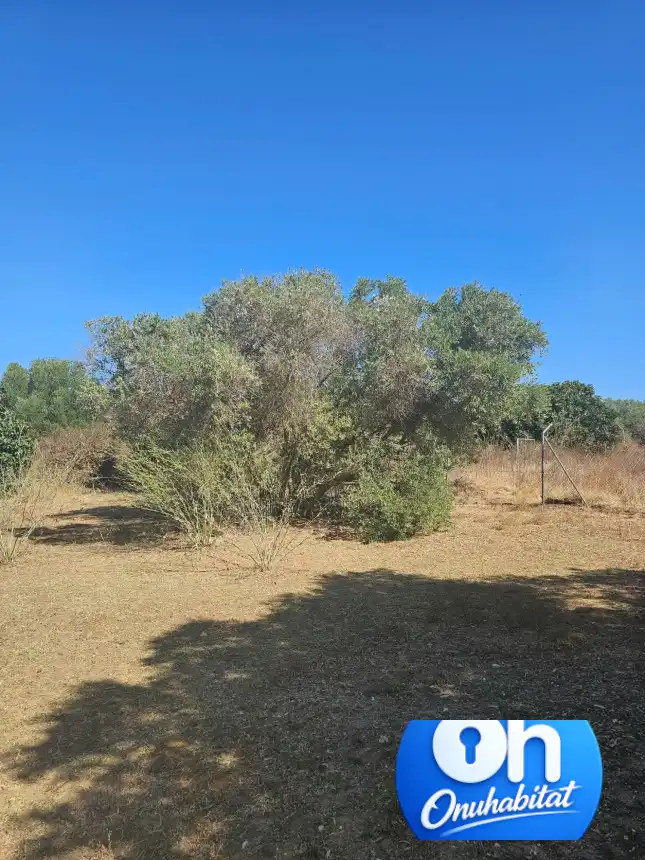 Terrenos y solares en venta en Gibraleón, imagen 2