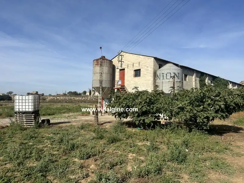 Rural land for sale in Plaça Sant Salvador, imagen 3