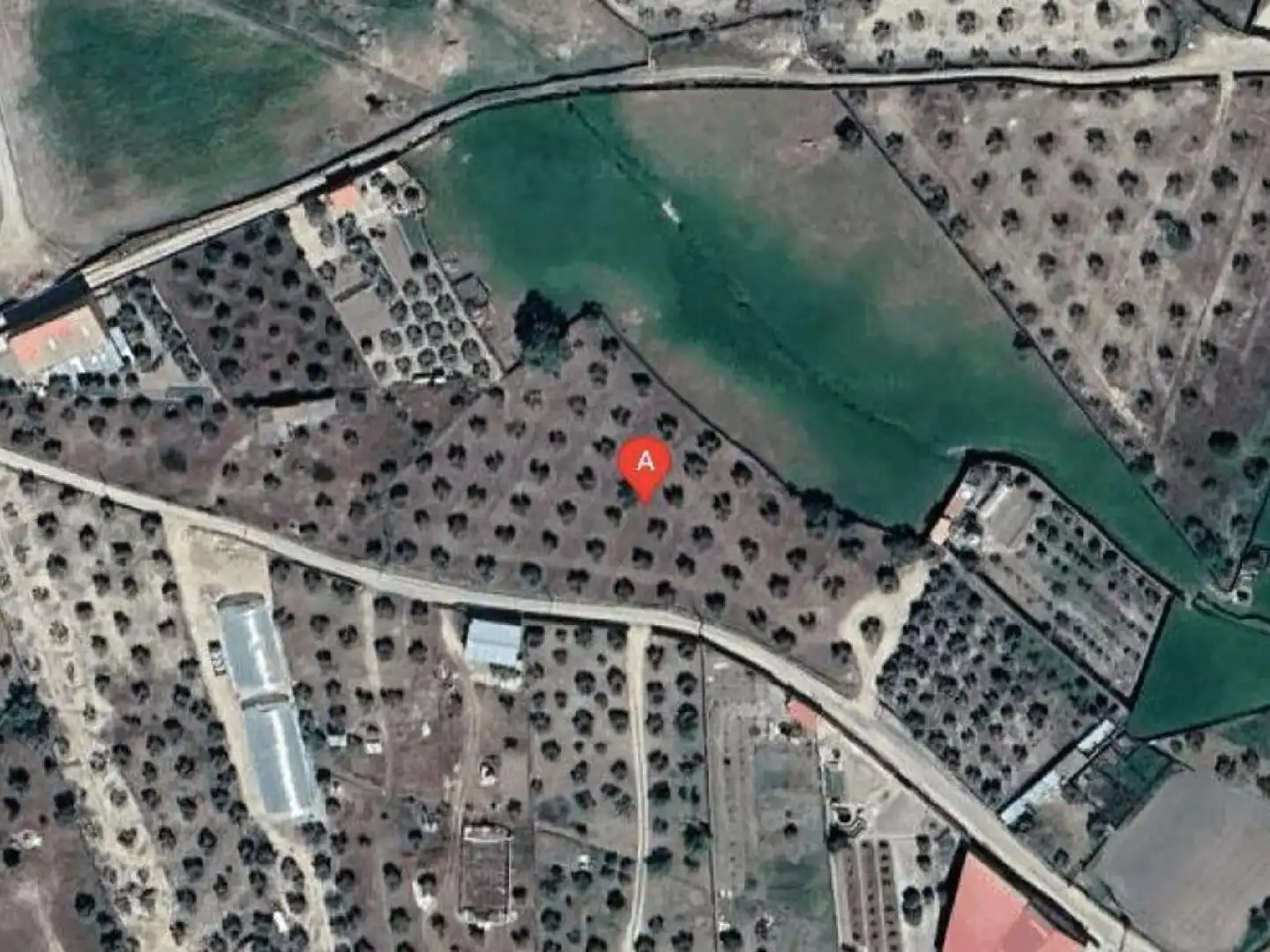 Land for sale in Miajadas