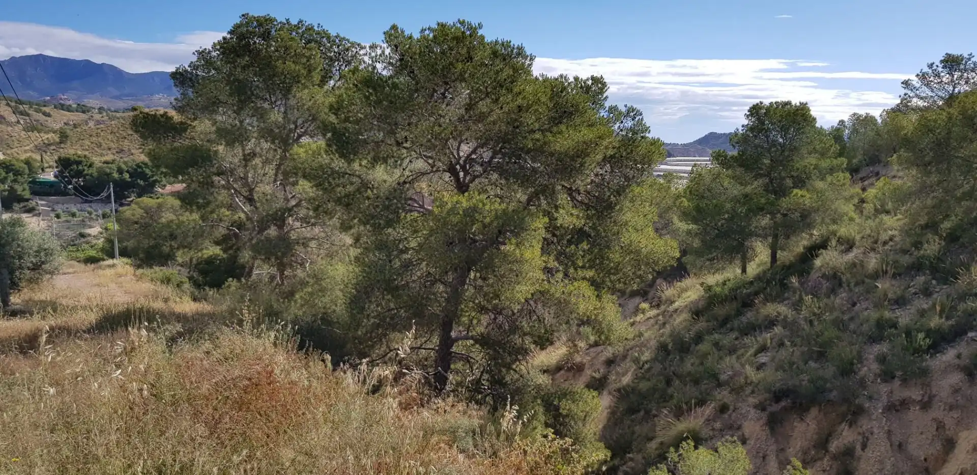 Casa o chalet en venta en Aledo con Terraza y Trastero