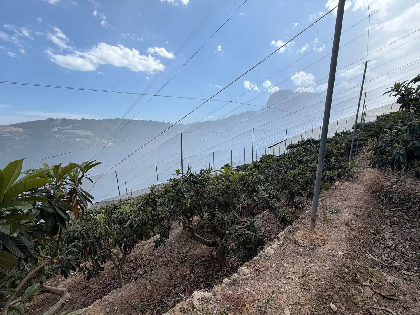 Finca rústica en venta en Polop