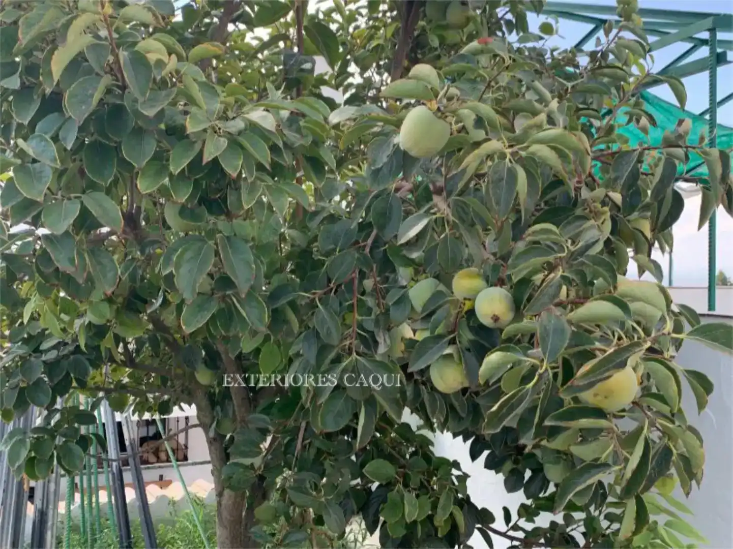 Jardín de Piso en venta en Montilla con Jardín privado, Piscina y Balcón