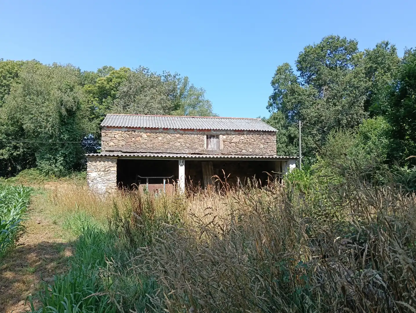 House with garden for sale in Curtis, imagen 5