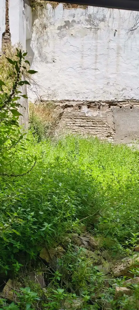 Finca rústica en venta en Écija