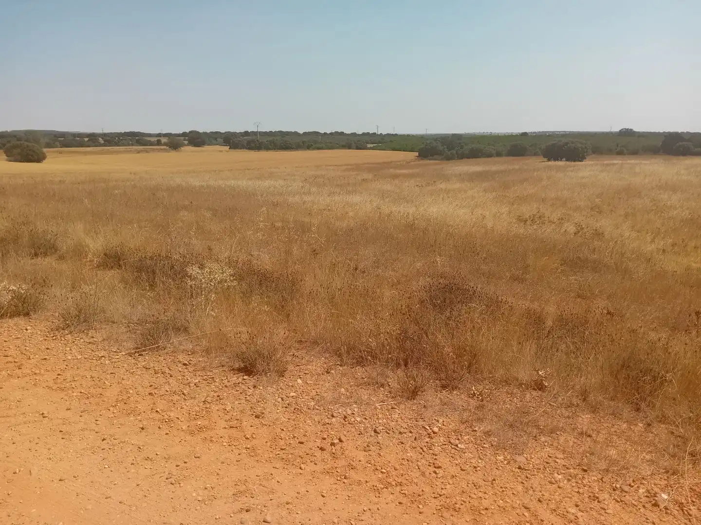 Terreno en venta en Moreruela de Tábara