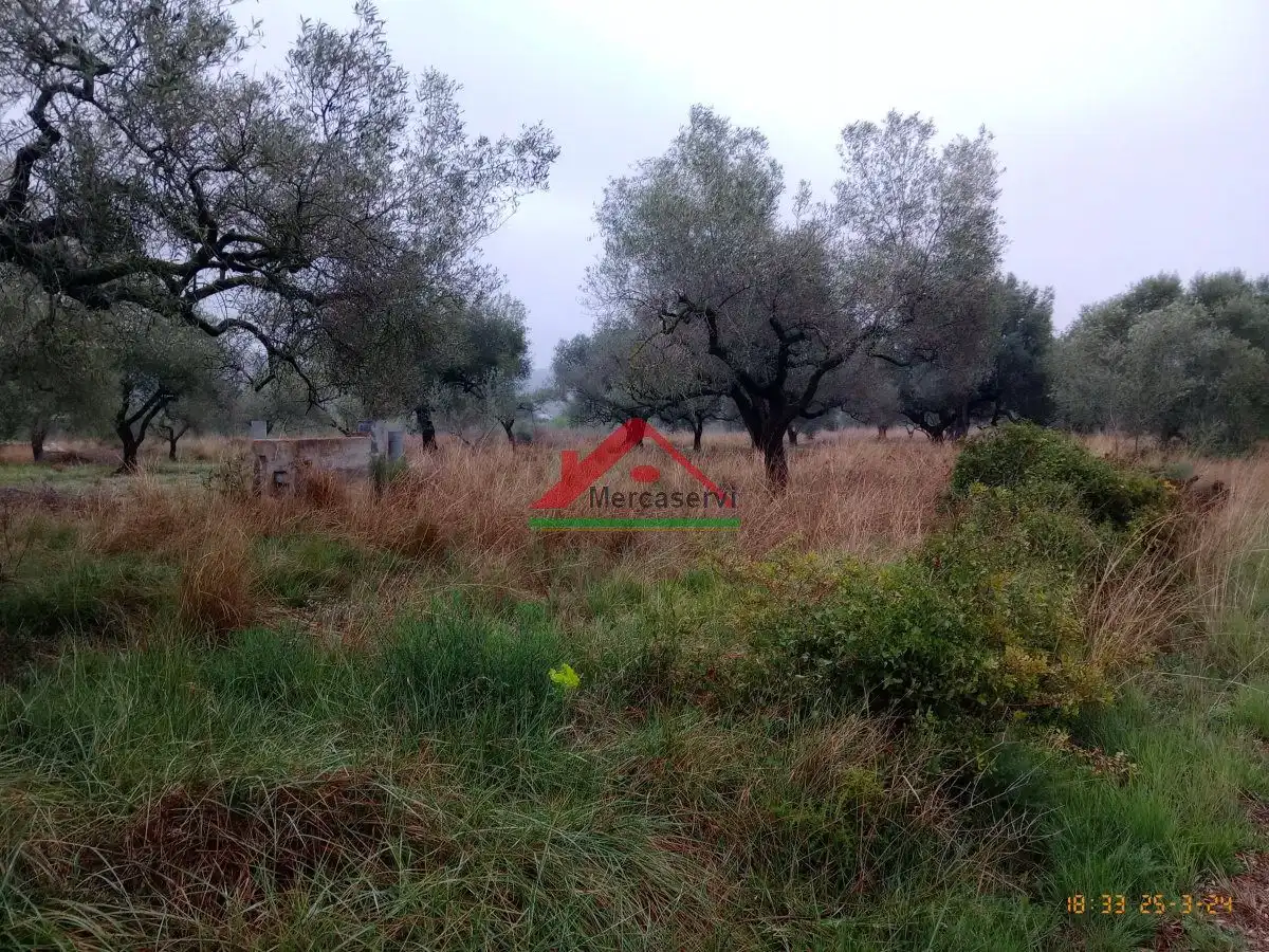 Finca rústica en venta en Vinaròs