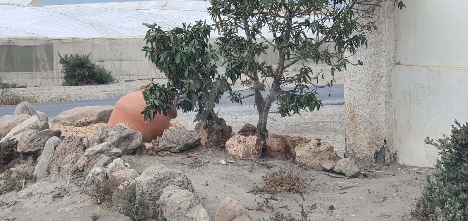 Exterior view of Land for sale in  Almería Capital