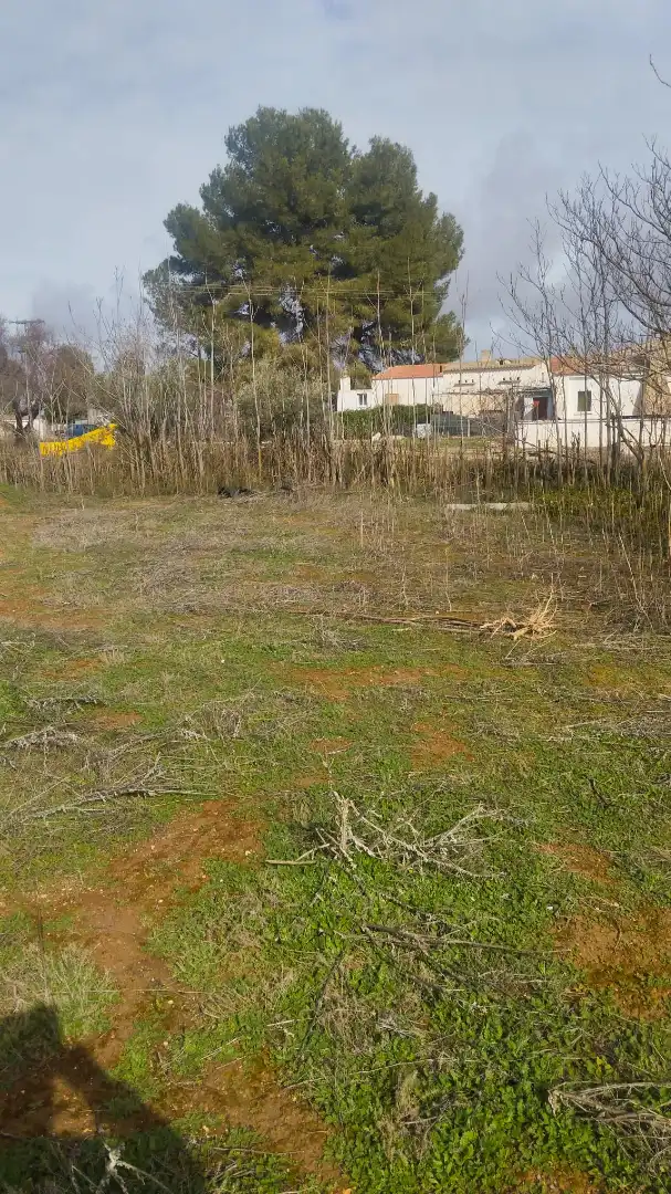 Houses for sale in Albacete  with Private garden