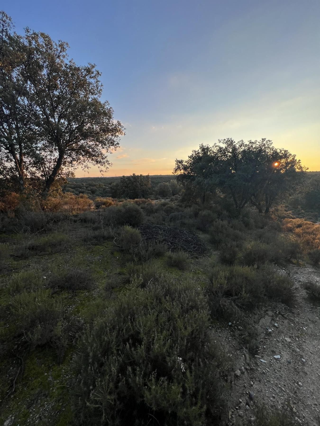 Country house for sale in Brunete