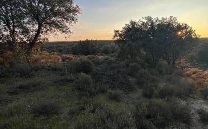 Finca rústica en venda en Brunete